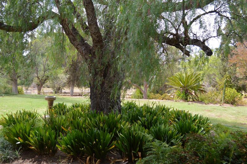 4 Bedroom Property for Sale in Ladismith Western Cape
